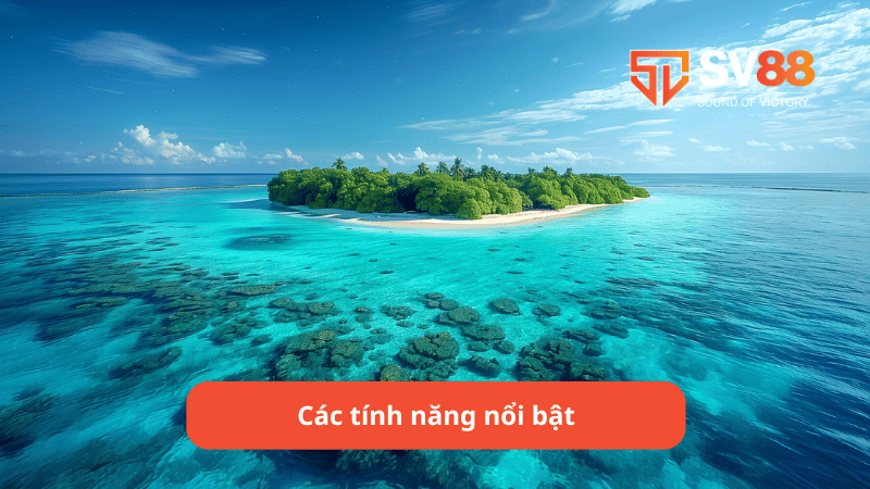 Các tính năng nổi bật