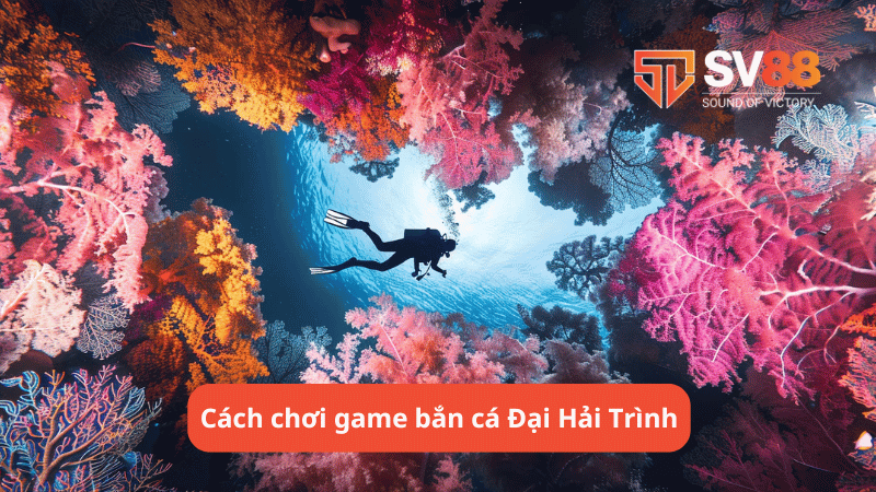 Cách chơi game bắn cá Đại Hải Trình