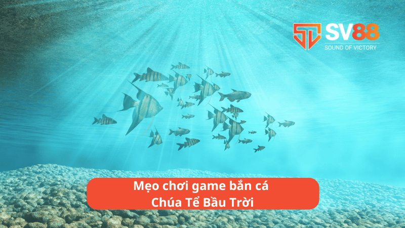 Mẹo chơi game bắn cá Chúa Tể Bầu Trời hiệu quả