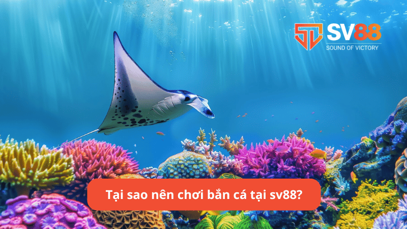 Tại sao nên chơi bắn cá tại sv88?