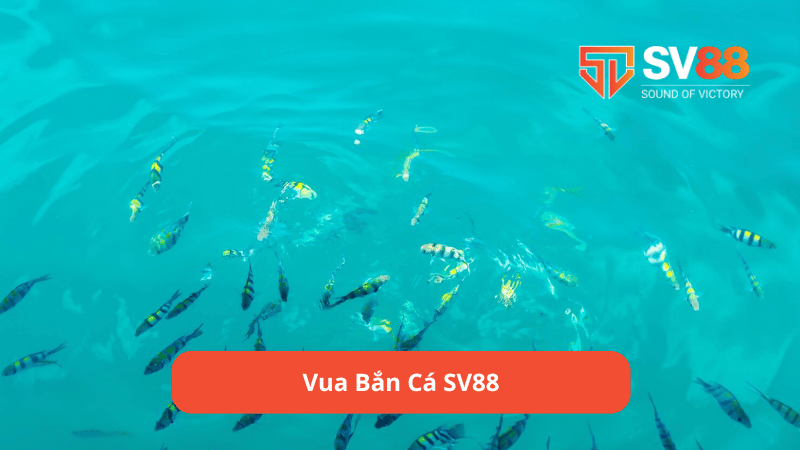 vua bắn cá sv88